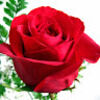 annabee1214